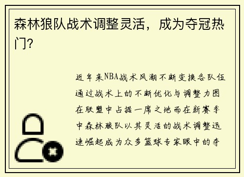 森林狼队战术调整灵活，成为夺冠热门？