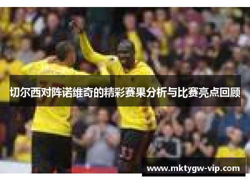 切尔西对阵诺维奇的精彩赛果分析与比赛亮点回顾